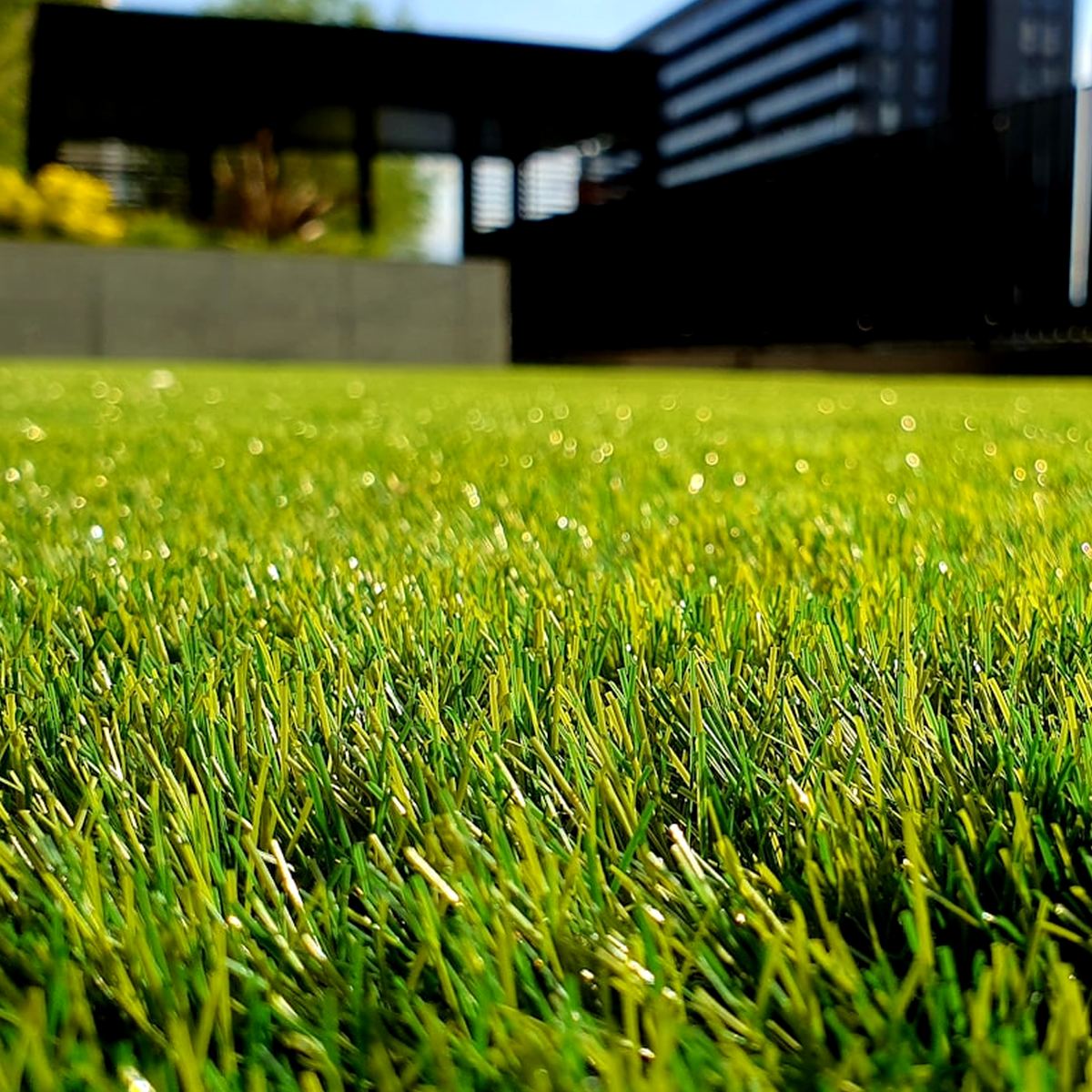 Slavipremu Plant Studio